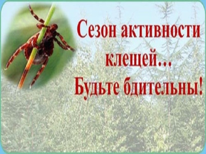 Югорчане, сезон активности клещей уже стартовал!.